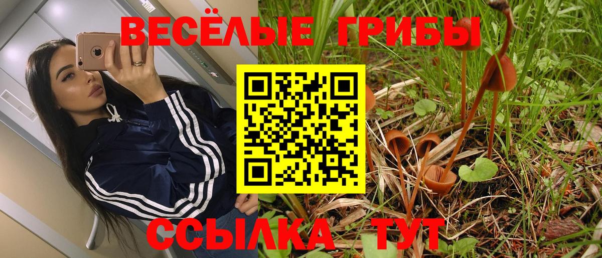 Галлюциногенные грибы прущие грибы  Псилоцибиновые грибы прущие грибы  что такое   Вход с VPN  Железногорск 